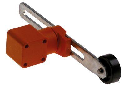 swing lever position switch