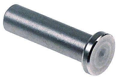 Hængselbolt Rustfrit stål D1 ø 78mm D2 ø 12mm L 32mm