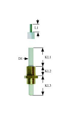 Tændelektrode L1 21mm M10x1 Tilslutning F 2,8x0,8mm D1 ø 6mm EL1 18mm EL2 8mm