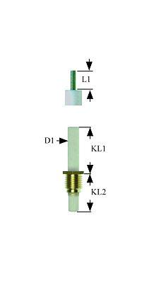 Tændelektrode L1 22mm M8x10 Tilslutning F 2,8x0,8mm D1 ø 6mm EL1 25mm EL2 19mm