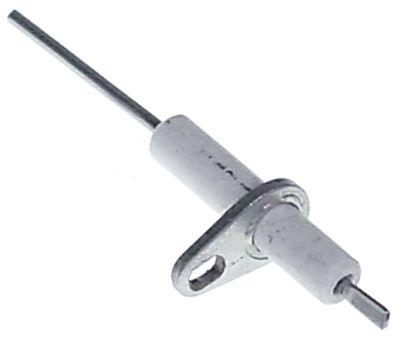 ignition electrode flange length 23mmflange width 15mm D1 ø 7mm L1 31mm BL1 20mm
