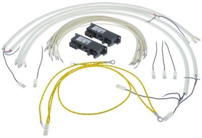 ignition unit outputs 2x4 220VACwith cable harness conversion kit for LOTUS