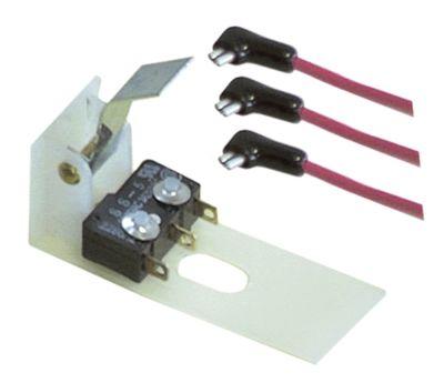 Mikrokontakt grebsbetjent 250V 10A 1CO Tilslutning Fladstik med arm