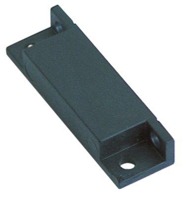 Magnet