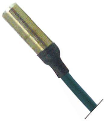 Magnetkontakt 250V 5A Gevind M10x0,75 Tilslutning Kabel Kabellængde 2000mm 1NO Type 102