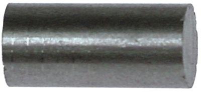 Magnet ø 6mm L 25mm